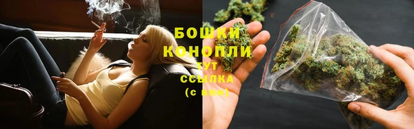 MESCALINE Аркадак