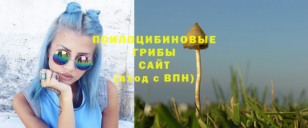 СК Арсеньев
