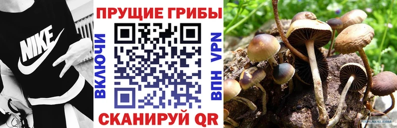 mega зеркало  Мензелинск  это клад  где найти наркотики  Галлюциногенные грибы мухоморы 
